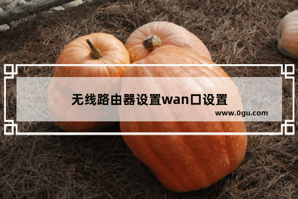 无线路由器设置wan口设置