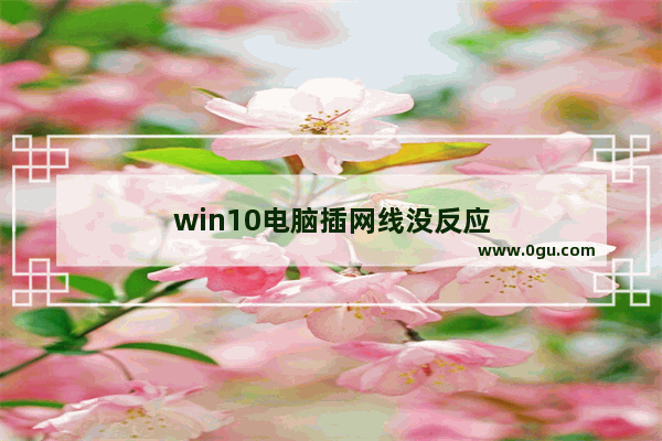 win10电脑插网线没反应