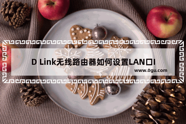 D Link无线路由器如何设置LAN口IP地址？