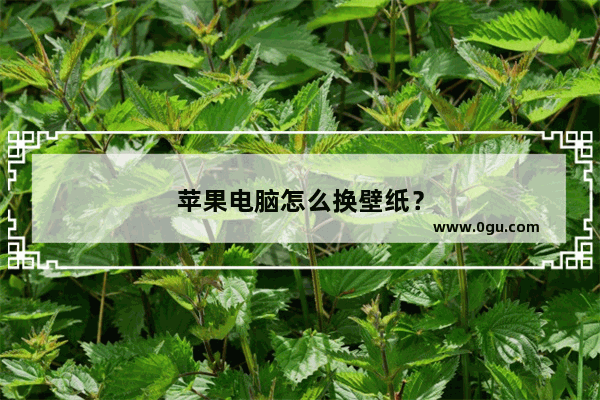 苹果电脑怎么换壁纸？