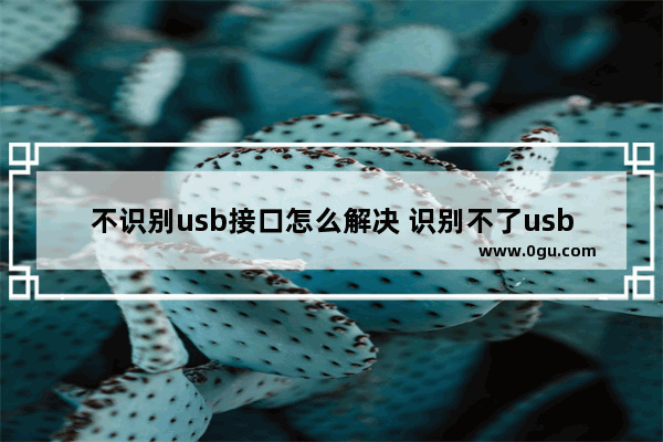 不识别usb接口怎么解决 识别不了usb设备怎么办