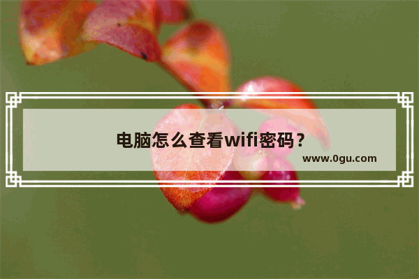 电脑怎么查看wifi密码？