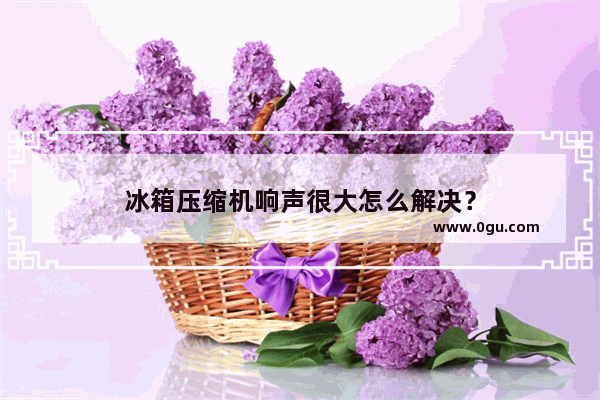 冰箱压缩机响声很大怎么解决？