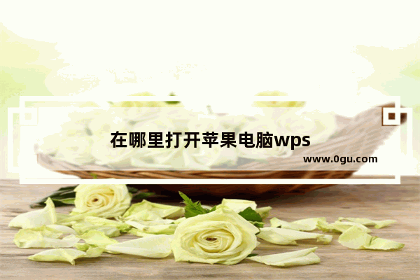 在哪里打开苹果电脑wps