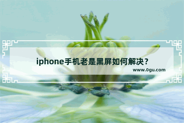 iphone手机老是黑屏如何解决？