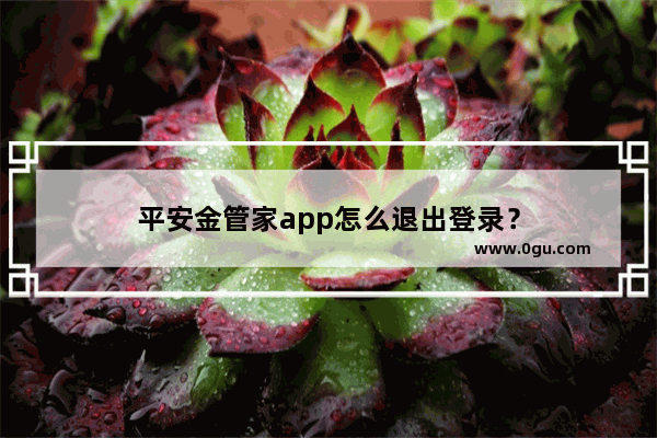 平安金管家app怎么退出登录？