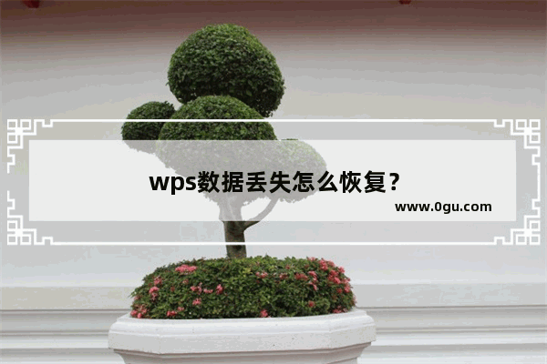 wps数据丢失怎么恢复？