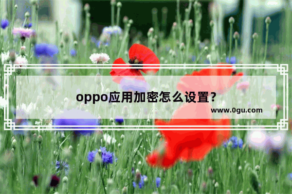 oppo应用加密怎么设置？