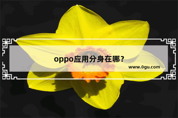 oppo应用分身在哪？