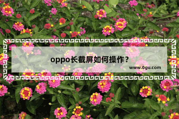 oppo长截屏如何操作？