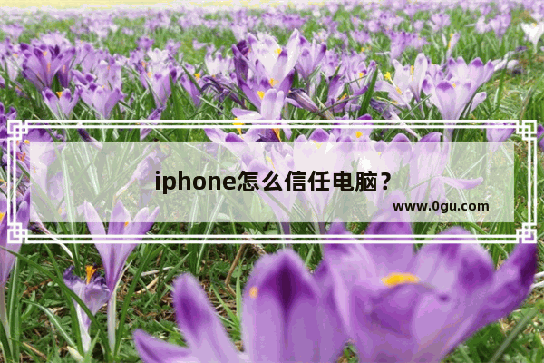 iphone怎么信任电脑？