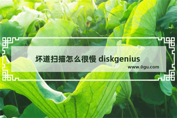 坏道扫描怎么很慢 diskgenius 坏道扫描