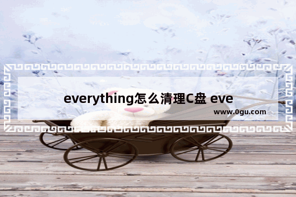 everything怎么清理C盘 everything清理C盘的方法