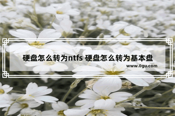 硬盘怎么转为ntfs 硬盘怎么转为基本盘