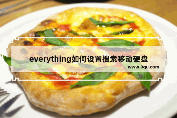 everything如何设置搜索移动硬盘 everything设置搜索移动硬盘的方法