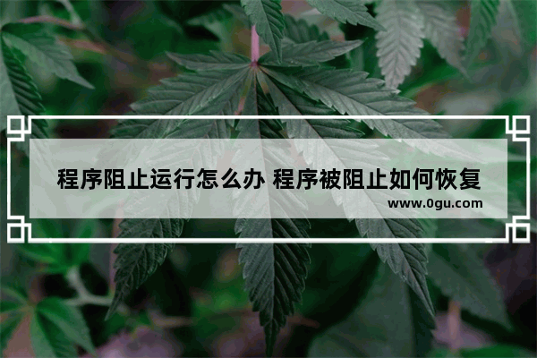 程序阻止运行怎么办 程序被阻止如何恢复