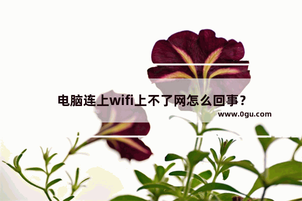 电脑连上wifi上不了网怎么回事？