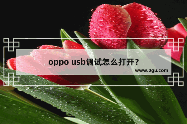 oppo usb调试怎么打开？