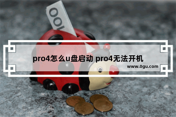 pro4怎么u盘启动 pro4无法开机