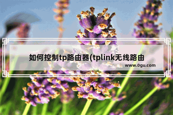 如何控制tp路由器(tplink无线路由器设置管理员)