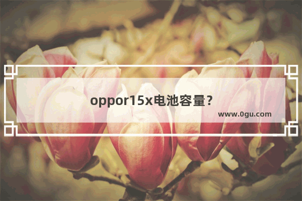 oppor15x电池容量？