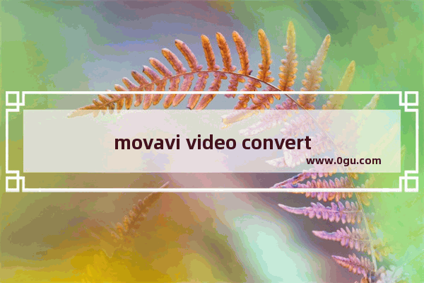 movavi video converter如何压缩图片 movavi video converter压缩图片的方法