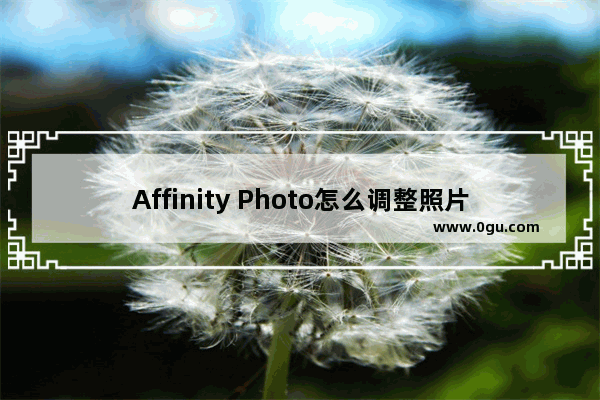 Affinity Photo怎么调整照片的曝光 Affinity Photo beta调整图片曝光的方法