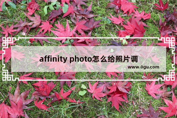 affinity photo怎么给照片调色 Affinity Photo beta进行照片调色的方法