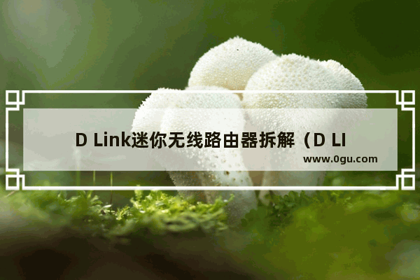 D Link迷你无线路由器拆解（D LINK路由器质量怎么样）