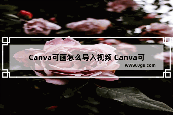 Canva可画怎么导入视频 Canva可画导入视频的方法