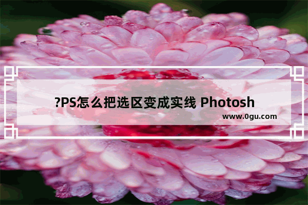 ?PS怎么把选区变成实线 Photoshop把选区虚线变成实线的方法教程