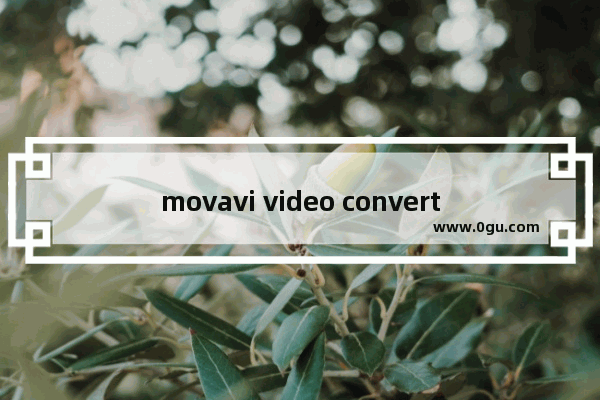 movavi video converter如何批量转换视频 movavi video converter批量转换视频格式的方法