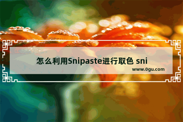 怎么利用Snipaste进行取色 snipaste吸取颜色的方法