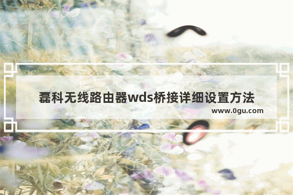 磊科无线路由器wds桥接详细设置方法