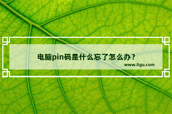 电脑pin码是什么忘了怎么办？