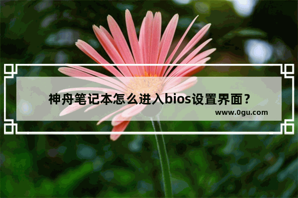 神舟笔记本怎么进入bios设置界面？