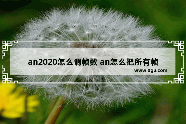 an2020怎么调帧数 an怎么把所有帧画面都缩小