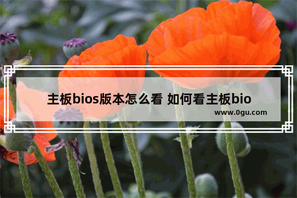 主板bios版本怎么看 如何看主板bios型号