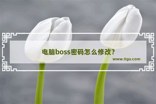 电脑boss密码怎么修改？