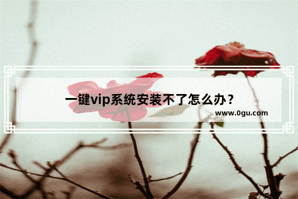 一键vip系统安装不了怎么办？