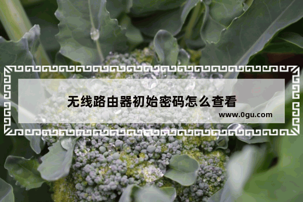 无线路由器初始密码怎么查看