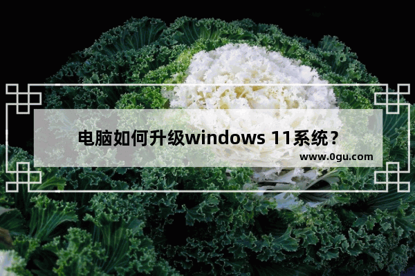 电脑如何升级windows 11系统？