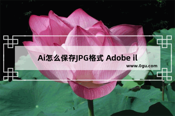 Ai怎么保存JPG格式 Adobe illustrator导出jpg图片的方法