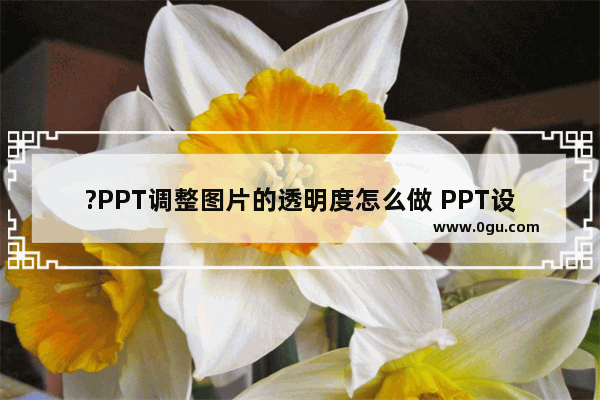 ?PPT调整图片的透明度怎么做 PPT设置图片透明度的方法教程