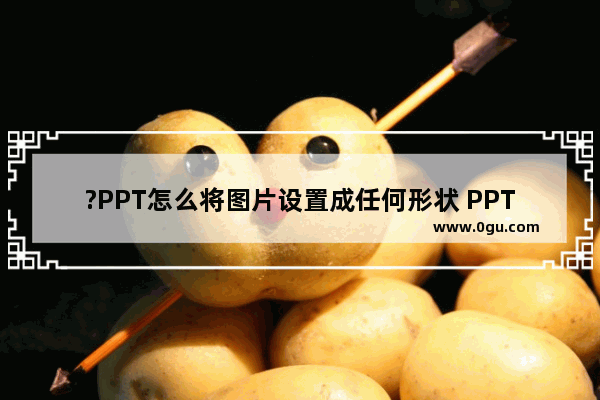 ?PPT怎么将图片设置成任何形状 PPT把图片裁剪成任意想要的形状的方法教程