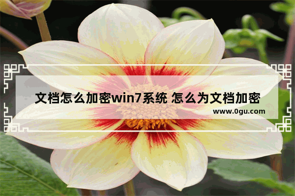 文档怎么加密win7系统 怎么为文档加密