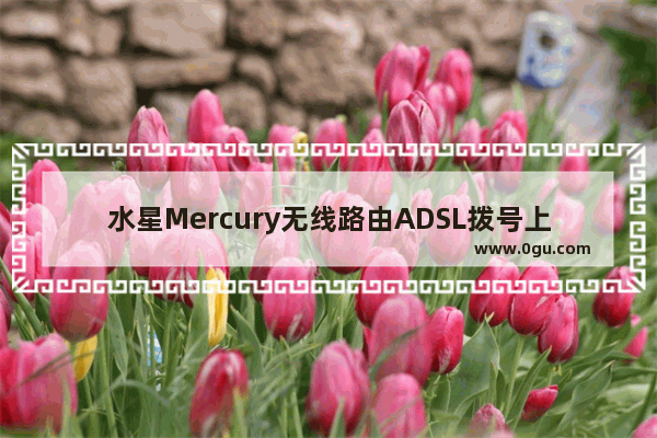 水星Mercury无线路由ADSL拨号上彀设置