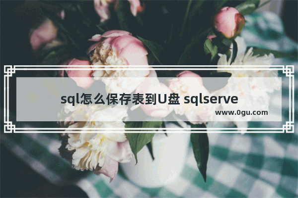 sql怎么保存表到U盘 sqlserver怎么保存表