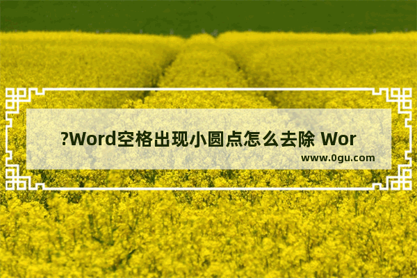 ?Word空格出现小圆点怎么去除 Word文档关闭按空格出现小圆点的方法教程