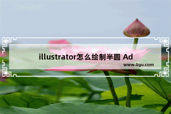 illustrator怎么绘制半圆 Adobe Illustrator画半圆的方法